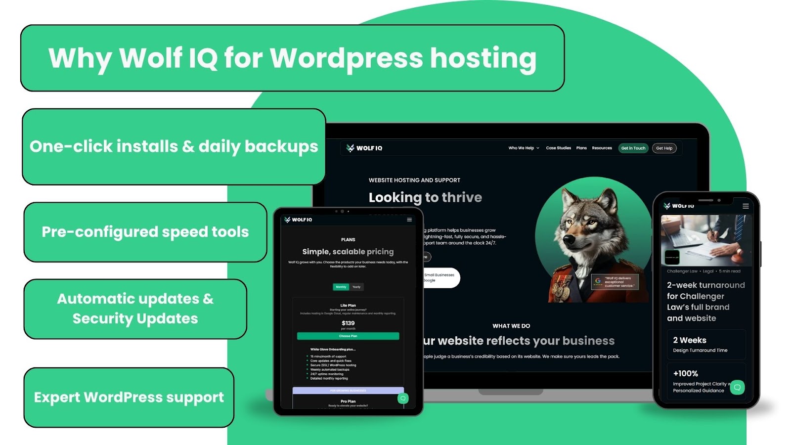 Wolf IQ's WordPress hosting features installs, backups, speed tools, and support -  Wolf IQ
