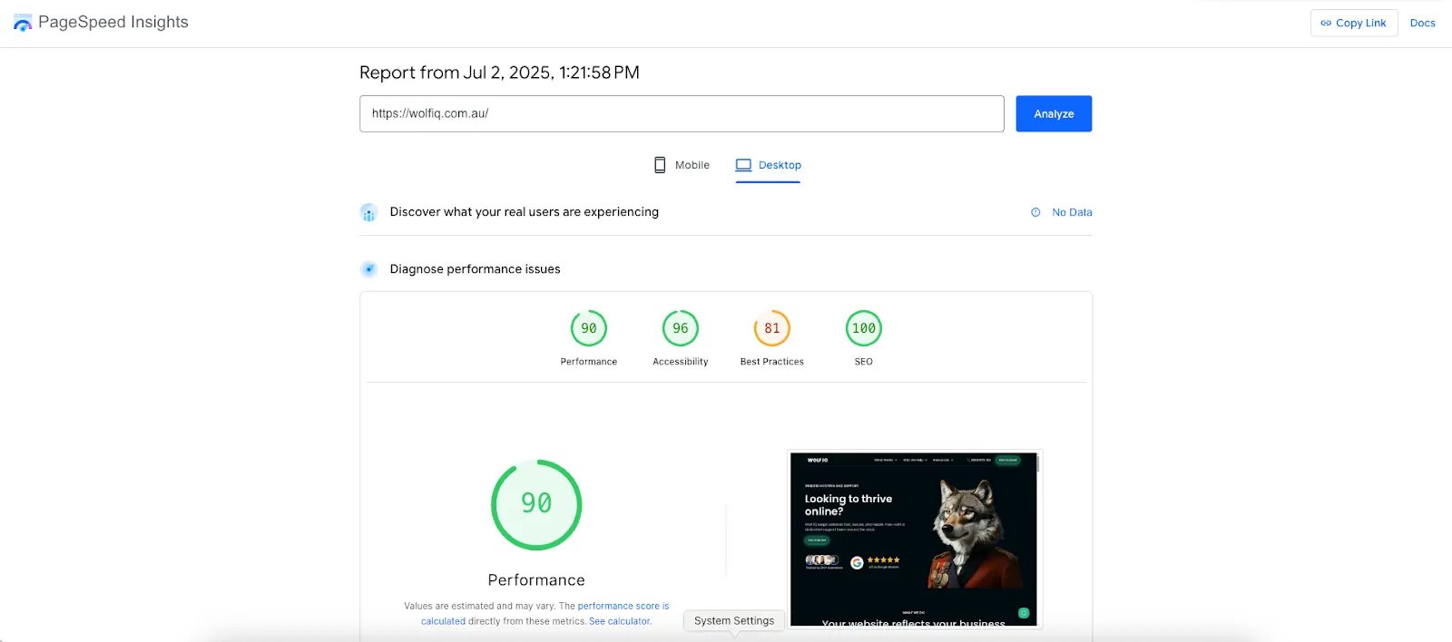PageSpeed Insights report showing 90 performance, 96 accessibility and 100 SEO score on desktop - Wolf IQ